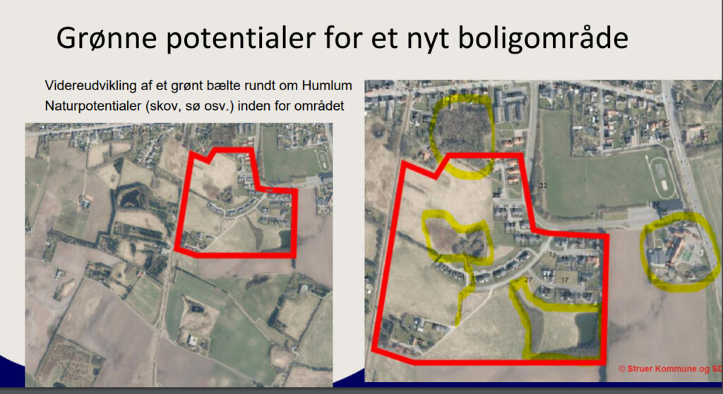 Struer Nyheder Majasvej Projektfor Humlum